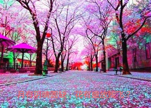 暮色幻影小说全集免费阅读 司年林水婳章节列表