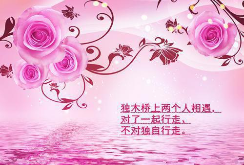 不管女主后，恶毒女配她逆天改命沈琉衣君清逸章节目录免费看