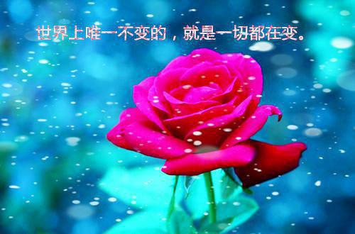 为奴十一载佚名 谢宣香儿小说