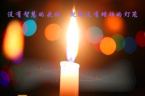 沈旭尧白嫣最后结局 沈旭尧白嫣完结版免费阅读