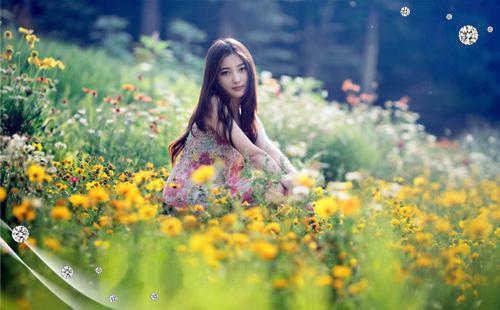 金宝珠江博年免费阅读无弹窗 金宝珠江博年最新章节