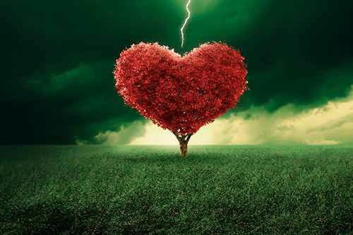 江文文秦放免费全本小说 江文文秦放章节目录