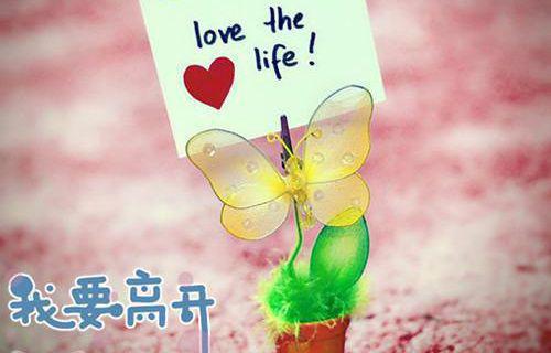 许怀夏盛聿免费阅读无弹窗 许怀夏盛聿最新章节