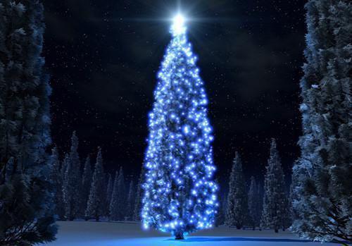 穿书不当牛马，年代美人创飞全家：陆雪茶阅读无弹窗大结局_（穿书不当牛马，年代美人创飞全家阅读无弹窗）最新章节列表（穿书不当牛马，年代美人创飞全家）