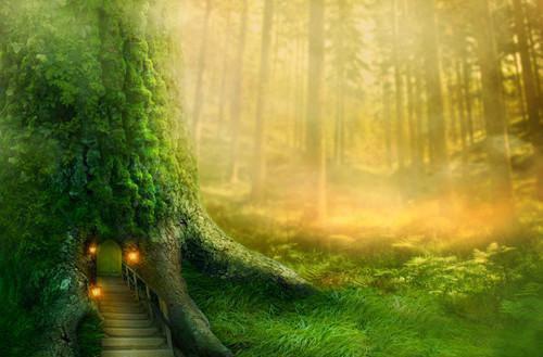 (抖音小说)谢玉曦沈玉璋谢玉阴免费阅读第8章