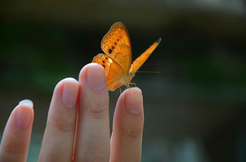 许青妩秦啸宇小说免费 许青妩秦啸宇第5章在线阅读