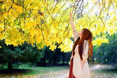 苏青孟叙冬（泡泡浴）全文免费阅读_泡泡浴（苏青孟叙冬）全文阅读