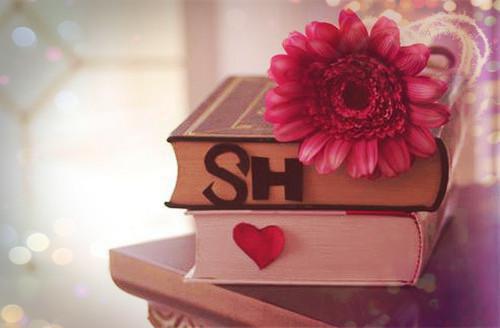 段知秋裴景时小说 段知秋裴景时完整版免费阅读