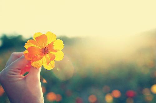 专属难哄在线阅读无弹窗 专属难哄未删节小说