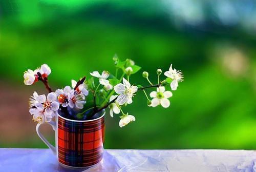 李紫晨林子轩张茹什么小说 李紫晨林子轩张茹全文免费阅读