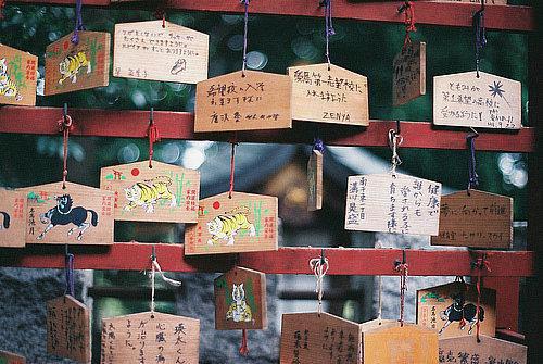 少帅轻点宠钟小姐吃软不吃硬（主角是钟灵毓沈怀洲全文免费阅读无弹窗）_少帅轻点宠钟小姐吃软不吃硬全文免费阅读无弹窗大结局