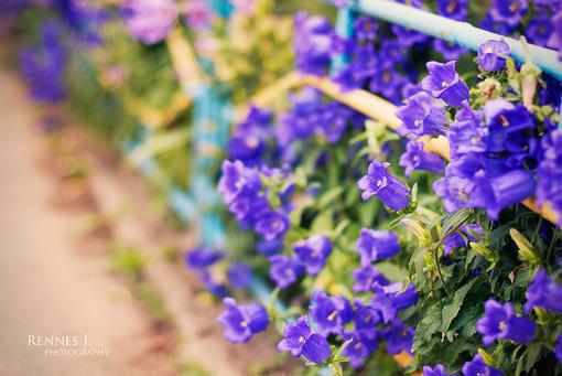 精彩分享前夫哥歇歇吧，夫人她不会回头了（虞惜沈述）已完结，精彩分享前夫哥歇歇吧，夫人她不会回头了已完结