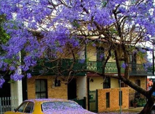 江安宜傅煜白全章节目录江安宜傅煜白小说阅读