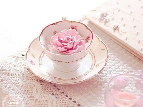 祝溪卓宴洲（祝溪卓宴洲）全文免费阅读无弹窗大结局_祝溪卓宴洲小说全文免费阅读最新章节列表