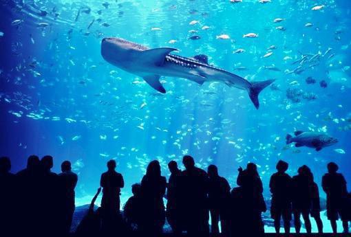 炮灰公主被读心成了反派掌心娇（苏南南）小说全文免费阅读无弹窗-炮灰公主被读心成了反派掌心娇全章节在线阅读