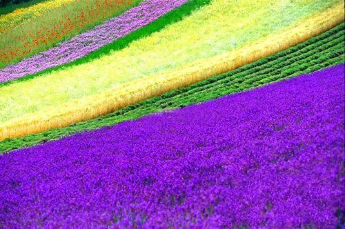 云烟褚司良乔蕴嫣小说名 将我打入天牢后，皇帝后悔了福华在线阅读