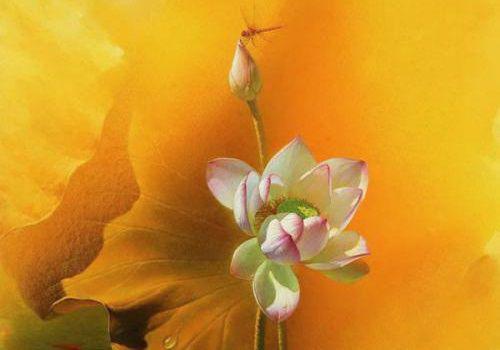 陆曜钧陈嘉怡小说在哪里看 陆曜钧陈嘉怡在线阅读第3章