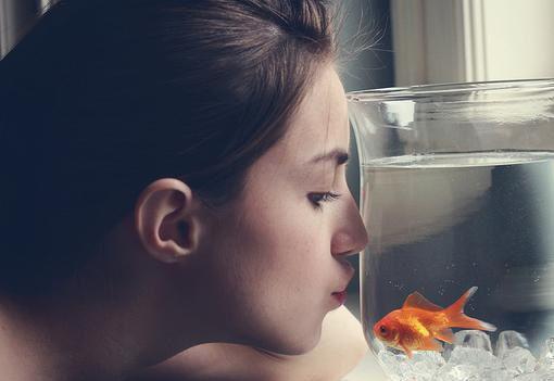 程旭温泠然小说免费阅读无弹窗-程旭温泠然（程旭温泠然）小说免费阅读无弹窗大结局