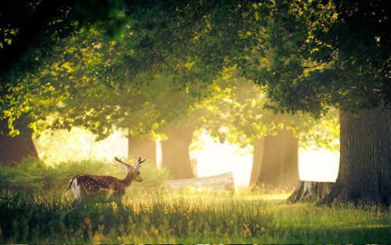 卫祈江璃月小说目录 卫祈江璃月完整免费版阅读