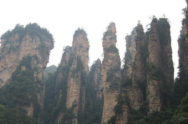 姜宣苏辰全文免费阅读（逆河证人小说）全文免费姜宣苏辰读无弹窗大结局_（姜宣苏辰全文免费姜宣苏辰读无弹窗）逆河证人小说最新章节列表（姜宣苏辰）