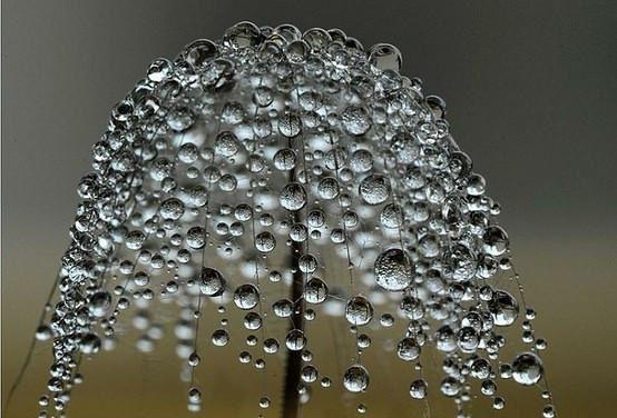 林秀珠顾御小说 林秀珠顾御免费章节阅读