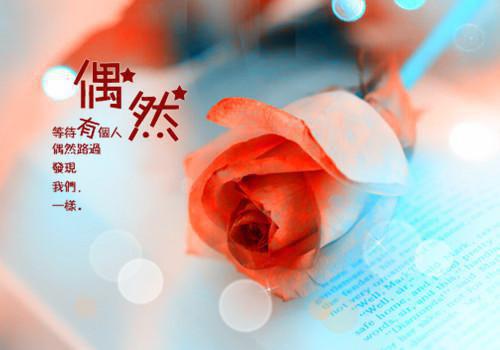 顾筱筱凌晟胤免费阅读目录 顾筱筱凌晟胤小说全文