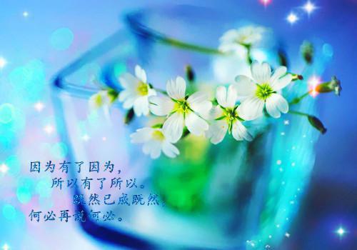 沈玉音丞书衍沈君颜许寒小说叫什么 沈玉音丞书衍沈君颜许寒小说全文免费阅读