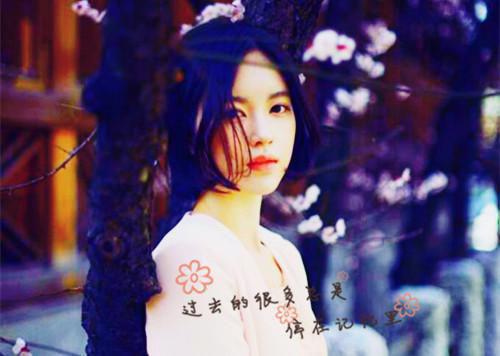 许芷意裴砚礼的小说 许芷意裴砚礼全文免费阅读