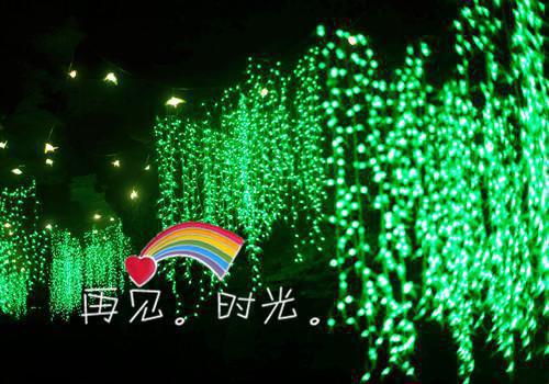 白晓舟是啥小说 白晓舟免费阅读无广告