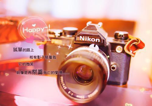 宋文浩叶清清大结局免费阅读 宋文浩叶清清全文小说