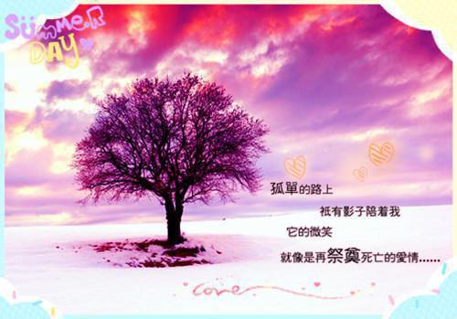 主角宋宛陆言枫小说 宋宛陆言枫小说全文免费阅读