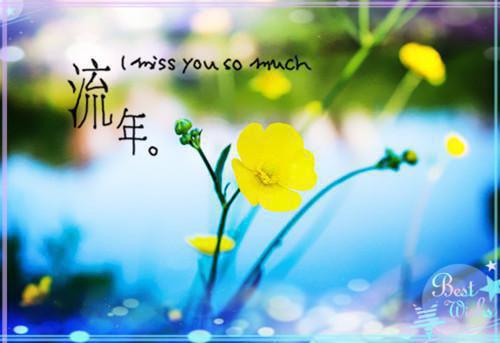 宋浅夏沈宴昭免费阅读无弹窗 宋浅夏沈宴昭最新章节