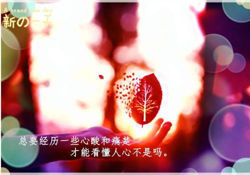 顾言之申婧杨志晏免费章节最新 我做手术，老婆去照顾小三by打豆豆