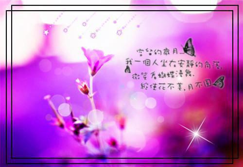 【新书】晏南风夏如烟全文全章节免费阅读-夏如烟晏南风小说免费阅读无弹窗最新章节列表