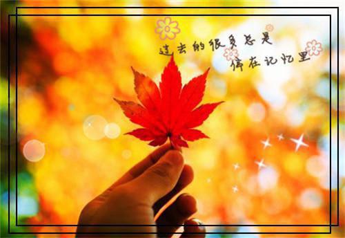 悔抽穿进开爽百局后！抽流？了，（匿名）全文免费_（匿名）悔抽穿进开爽百局后！抽流？了，后续阅读（匿名）