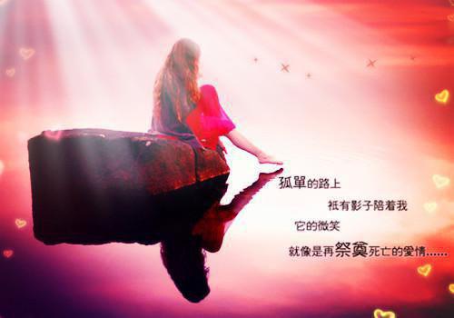 主角顾声声沈淮序小说免费阅读最新章节