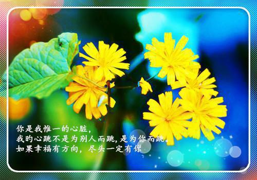 白溪许琦小说 白溪许琦完整版免费阅读