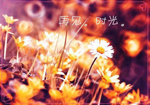 裴玦寒颜毓结局是什么 裴玦寒颜毓免费阅读全文