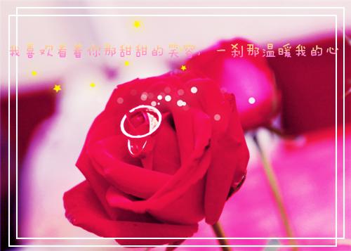 沈悠悠江策小说名字 沈悠悠江策全文免费阅读