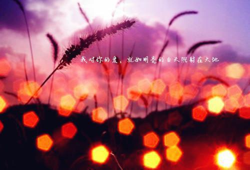 离婚我们彼此都是解脱（晋书意）全文免费阅读无弹窗大结局_离婚我们彼此都是解脱最新章节列表