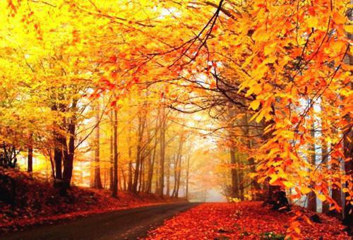 宋瑾月崔长凛小说叫什么名字 宋瑾月崔长凛全文免费阅读