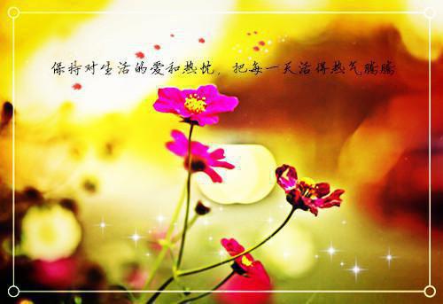 黎明前让子弹飞一会最新章节 林梦吴熙林芳在线阅读