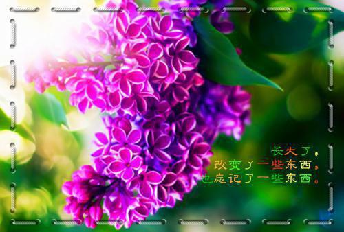 穿成糙汉相公的锦鲤小娇妻全文免费阅读 温玉程怀之无删减无弹窗小说