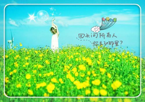 何婉宋辞赵妍小说全文免费阅读 何婉宋辞赵妍最新章节