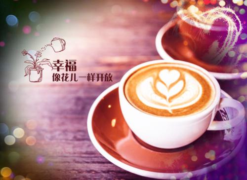 《林夕赵慕华顾九言小说》无弹窗全文免费阅读