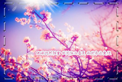 外室娇软，九千岁今天又破戒了！首发小说 云初萧琛在线阅读