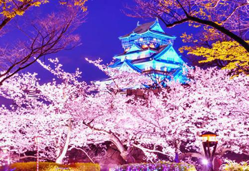 林清鸦萧扶光的小说 林清鸦萧扶光全文免费阅读