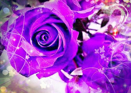 江岁好靳言小说全免读 江岁好靳言第6章在线阅读