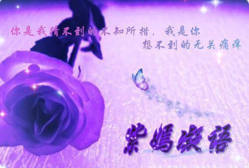 刘青青杨教授小说全文免费阅读 刘青青杨教授最新章节