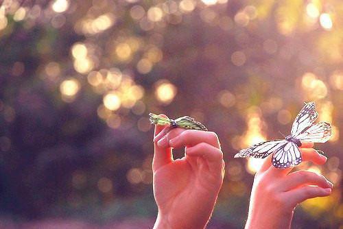 南歆江袭野免费阅读小说 南歆江袭野第二章